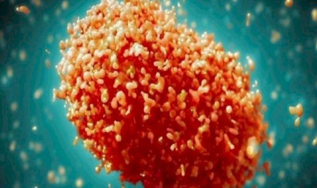 Maymun Çiçeği (Mpox) İçin Afrika’da Acil Durum İlan Edildi
