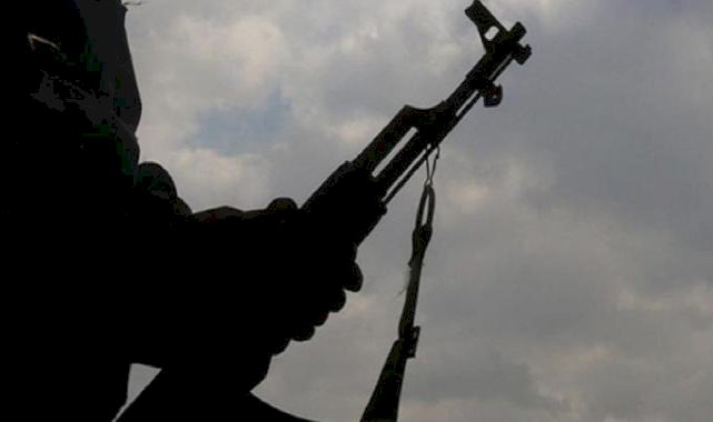 Nijerya'da silahlı saldırı: 8 ölü