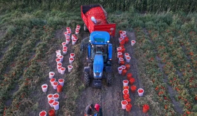 Ücretsiz sulamada hasat sevinci