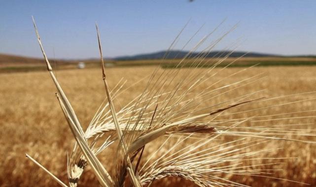 Tarım ve Orman Bakanlığı'ndan 'mazot ve gübre desteği kalktı' iddialarına cevap