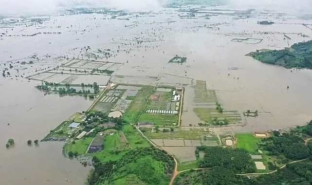 Tayland&#039;da meydana gelen sel ve toprak kayması faciaya yol açtı