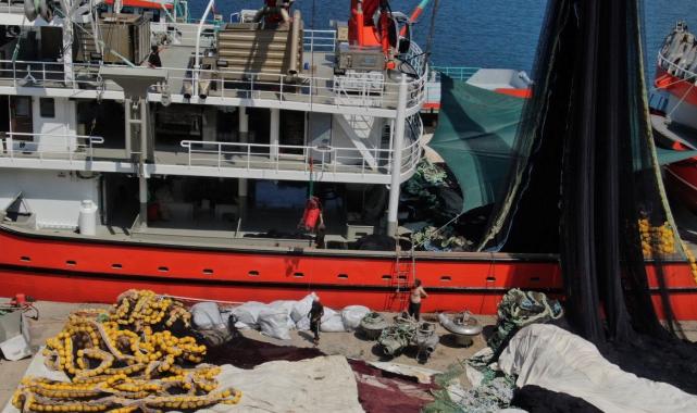 Trabzonlu balıkçılar bu sezon palamudun peşinde olacak