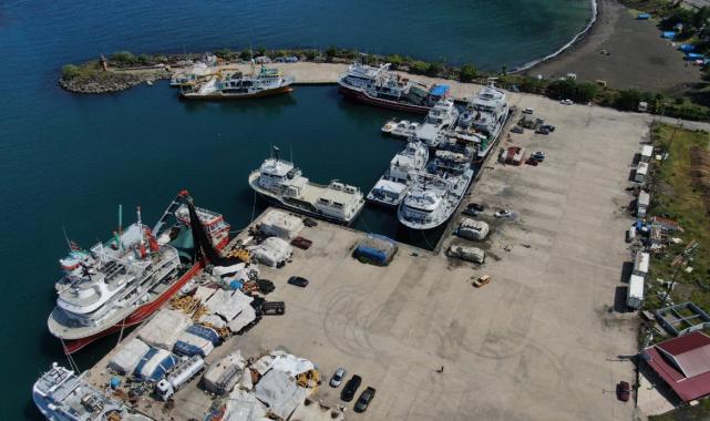 Trabzonlu balıkçılar bu sezon palamudun peşinde olacak