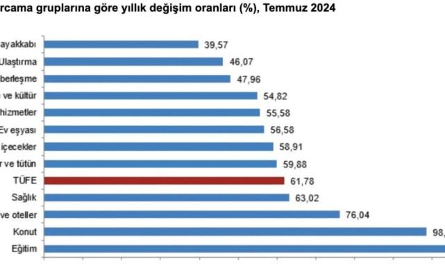 TÜİK, Temmuz 2024 enflasyon rakamlarını açıkladı