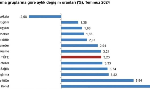 TÜİK, Temmuz 2024 enflasyon rakamlarını açıkladı