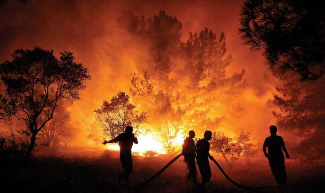 Türkiye'de son bir haftada 131 zirai alan ve orman yangını çıktı