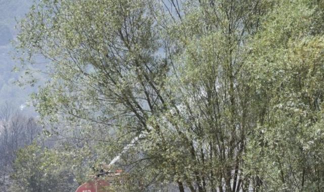 Türkiye'nin 4 ilinde yangınla mücadele devam ediyor!