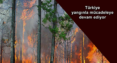 Türkiye'nin 4 ilinde yangınla mücadele devam ediyor!