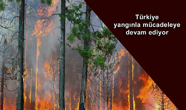 Türkiye'nin 4 ilinde yangınla mücadele devam ediyor!