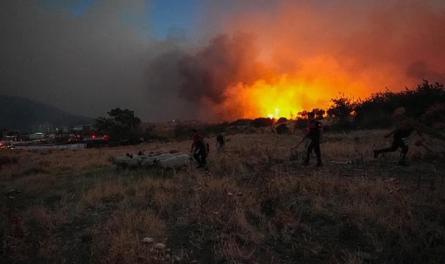 Türkiye'nin 7 ilinde çıkan orman yangınlarına ilişkin 9 kişi tutuklandı