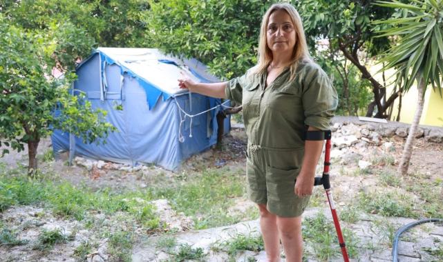 Türkiye'ye dönen gurbetçinin ilk misafirleri yaban domuzları oldu