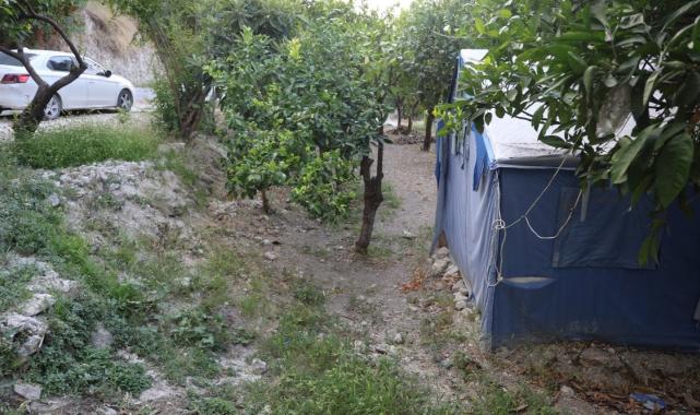 Türkiye'ye dönen gurbetçinin ilk misafirleri yaban domuzları oldu