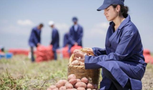 Yenileyici tarımda büyük başarı
