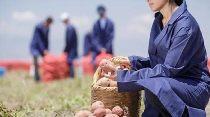 Yenileyici tarımda büyük başarı