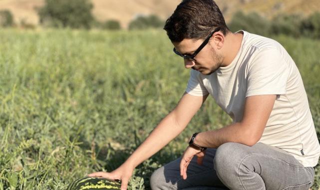 Yüksekova karpuzu, Diyarbakır karpuzuna rakip oldu