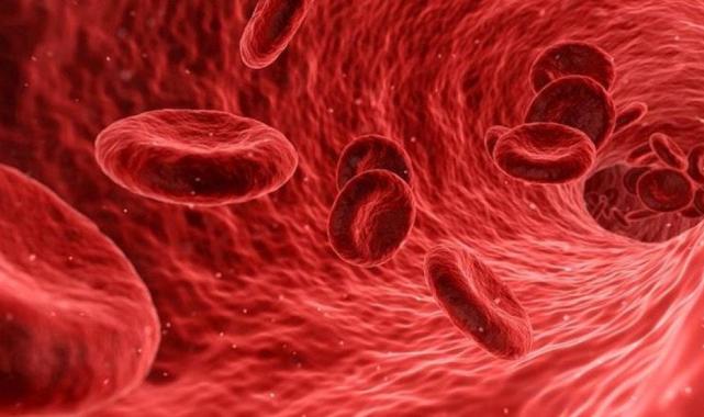 13 Eylül Dünya Sepsis Günü