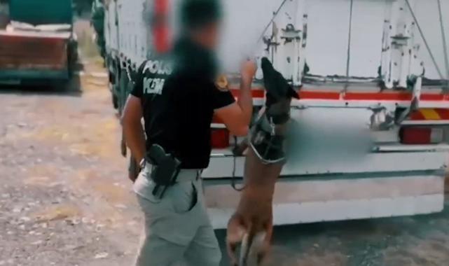 42 ilde Narkoçelik-37 operasyonu: 227 şüpheli yakalandı