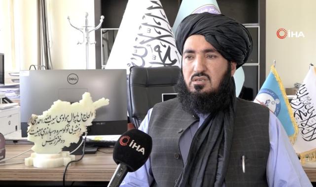 Afganistan'da uyuşturucu ekimi ve üretimi neredeyse sıfıra indi