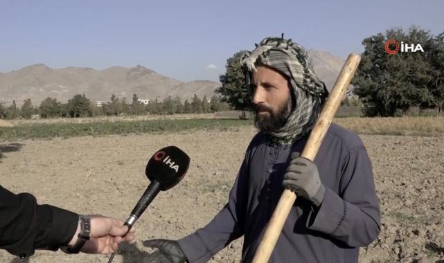 Afganistan'da uyuşturucu ekimi ve üretimi neredeyse sıfıra indi