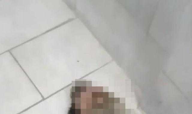 Antalya'da madde bağımlıları tarihi camiyi mesken tuttu