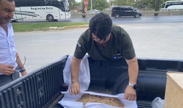 Antalya'da mezarlığın dışında kalan çocuk kabri, annesinin yanına defnedildi