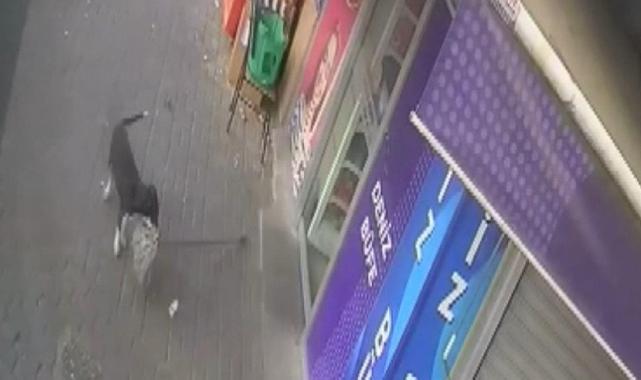 Aydın'da büfenin küçük hırsızı: Büfeden paspas çalan köpeği sosis ile ödüllendirecek