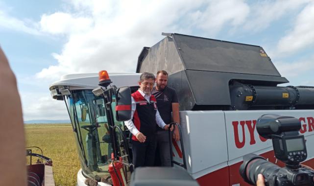 Bakan Yumaklı İpsala'da çeltik hasadında