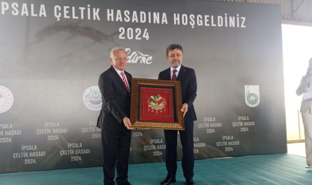 Bakan Yumaklı İpsala'da çeltik hasadında