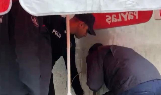 Bayburt'ta kedi kurtarma operasyonu