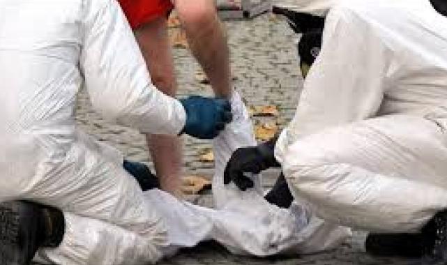 Bitlis'te şarbon hastalığı tespit edildi