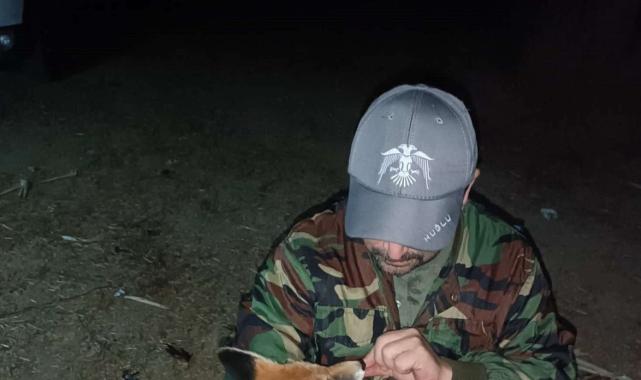 Bolu'da gece nöbeti tutarken gelen tilkiyi elleriyle besledi