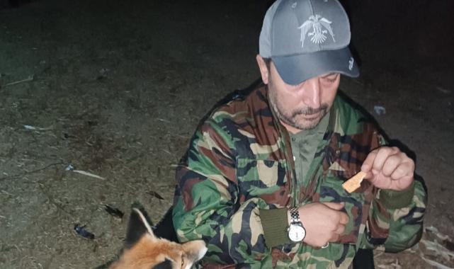 Bolu'da gece nöbeti tutarken gelen tilkiyi elleriyle besledi