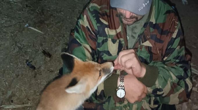 Bolu'da gece nöbeti tutarken gelen tilkiyi elleriyle besledi