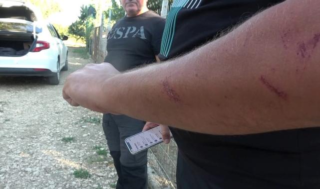 Bursa'da iş görüşmesine çağırdıkları çiftçiye öldüresiyle dövdüler