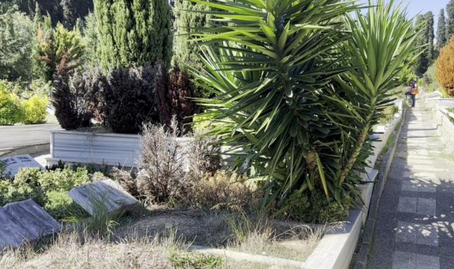 Cem Garipoğlu'nun mezarının son hali