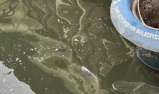 Cemil Tugay: İzmir Körfezi'ndeki kirlilik 1 sene içinde hallolacak