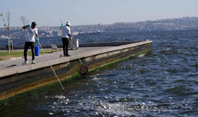 Cemil Tugay: İzmir Körfezi'ndeki kirlilik 1 sene içinde hallolacak