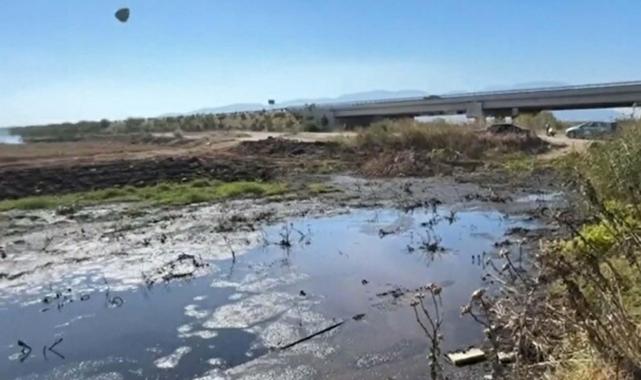 CHP Manisa Milletvekilinden 'balık ölümleri' açıklaması: Gediz bitmiş durumda