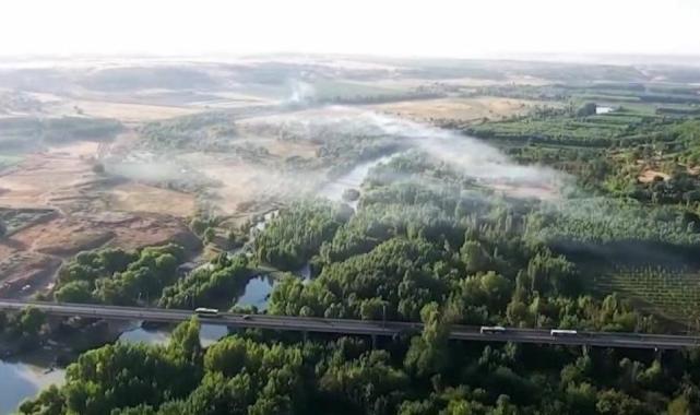 Diyarbakır'da 140 milyon TL değerinde Hint keneviri imha edildi