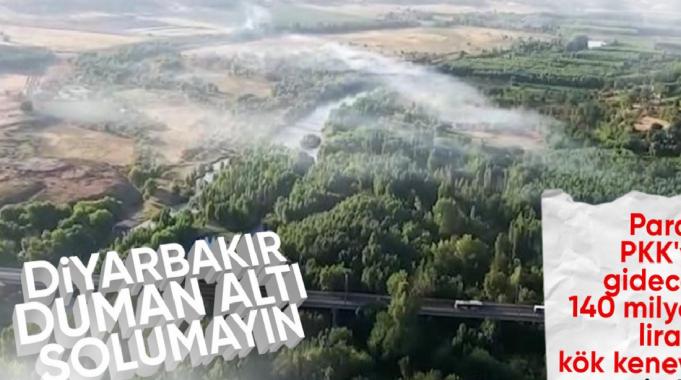 Diyarbakır&#039;da 140 milyon TL değerinde Hint keneviri imha edildi