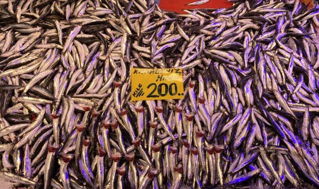 Eskişehir'de tanesi 100 liradan satılan palamuda vatandaşın ilgisi yoğun