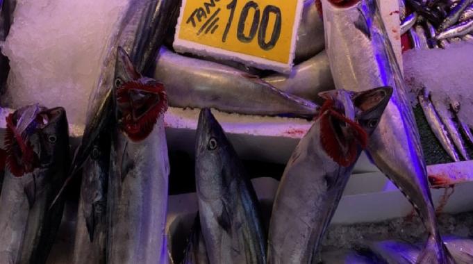 Eskişehir&#039;de tanesi 100 liradan satılan palamuda vatandaşın ilgisi yoğun