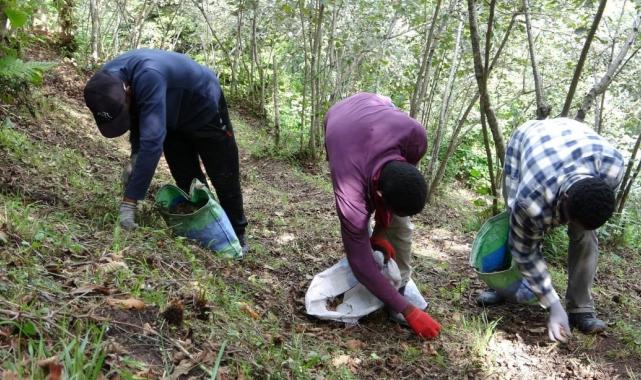 Giresun'da Afrikalı üniversite öğrencileri harçlıklarını fındıktan çıkartıyor