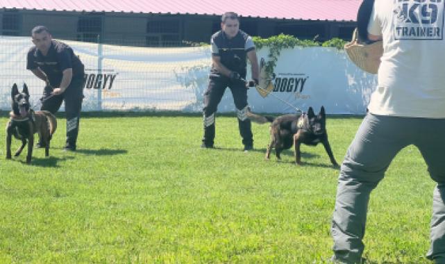 Hangi köpek ırklarından patlayıcı madde uzmanı çıkıyor?