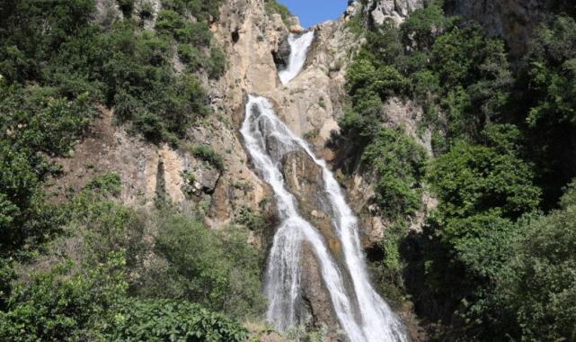 Hatay'da doğaya zarar veren maden firmasının faaliyetleri durduruldu
