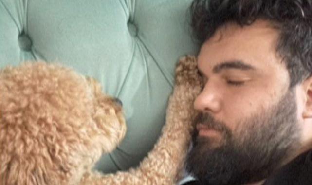 İstanbul'da kangal dehşeti: Sahipli köpeği parçaladı