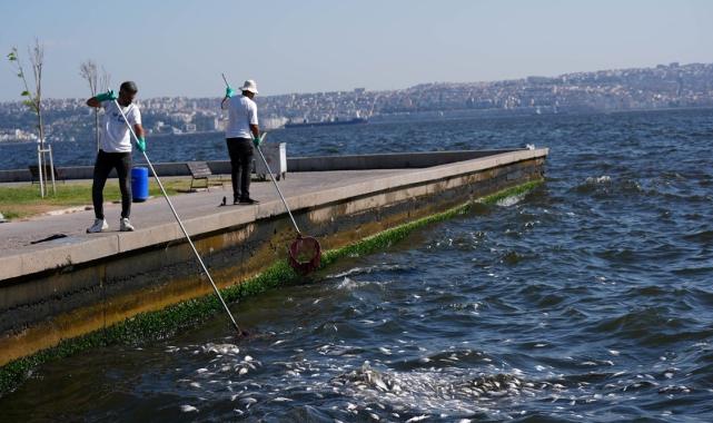 İzmir Körfezi'nde kirlilik: Felaketin uydudan haritası çıkartıldı
