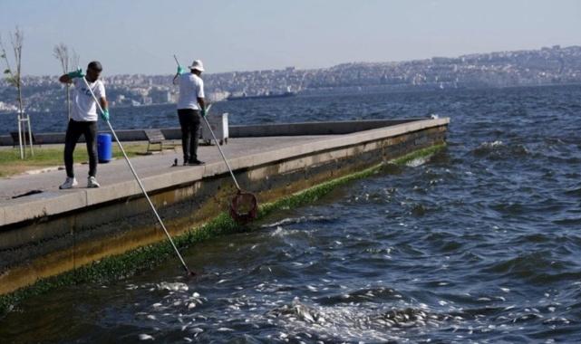 İzmir Körfezi'nde ne oluyor?