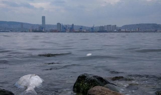İzmir Körfezi'nde ne oluyor?