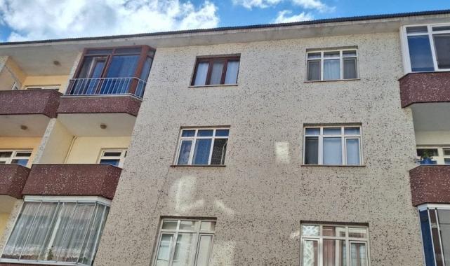 Mısır'da gemiye binen Türk mühendis Yiğit Acar 2 yıldır kayıp